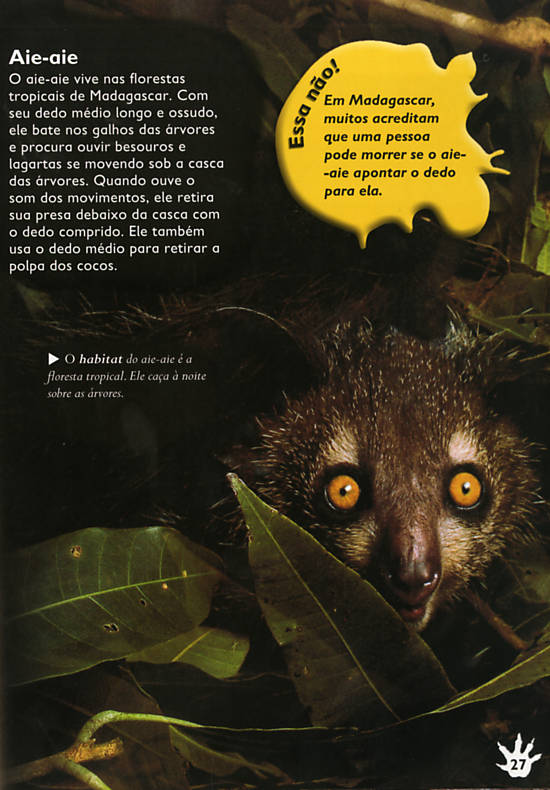 Pra fazer Efeito: Animais esquisitos no Brasil