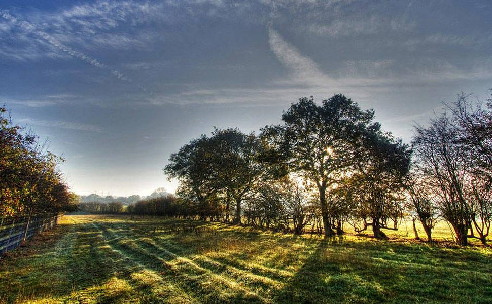 Campos e paisagens pelos leitores da BBC