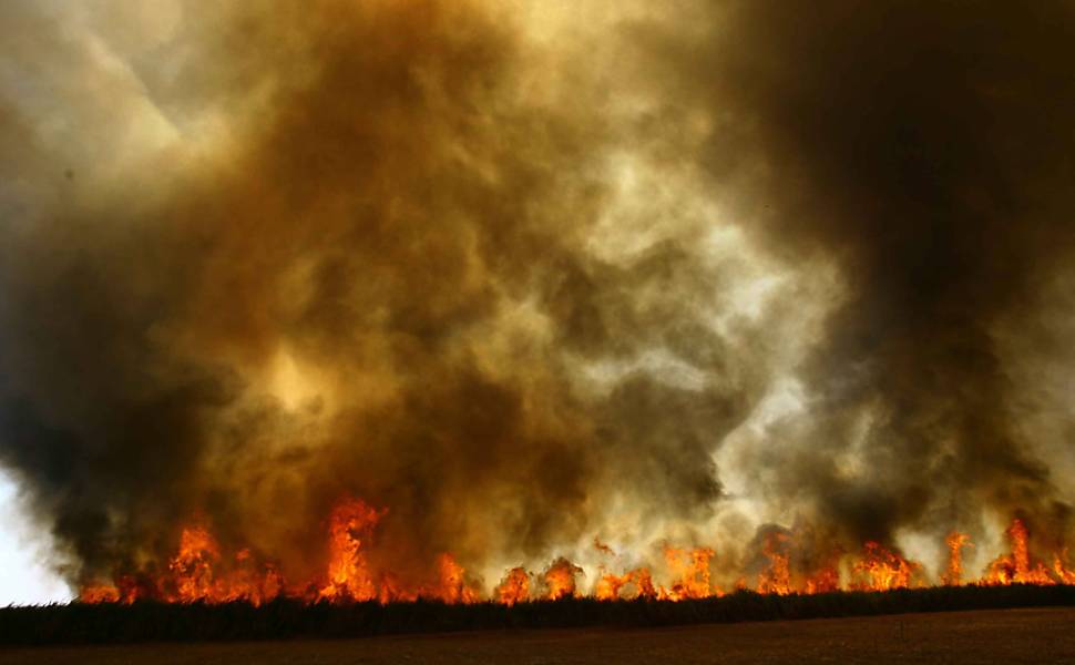 Fogo em Canavial