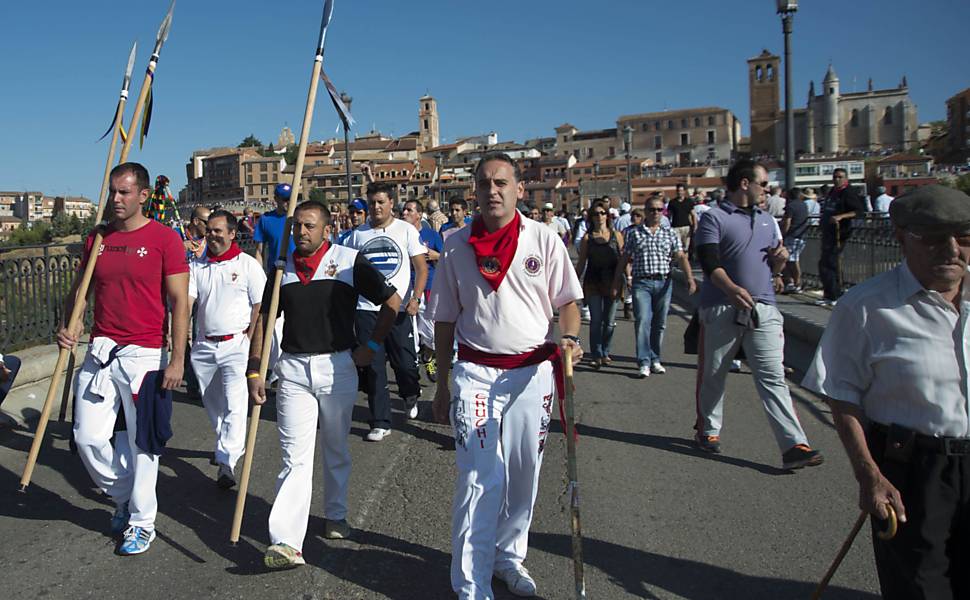 Toro de la Vega