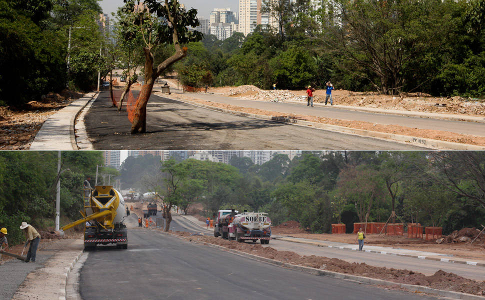 Empreiteira "asfalta" árvores em SP