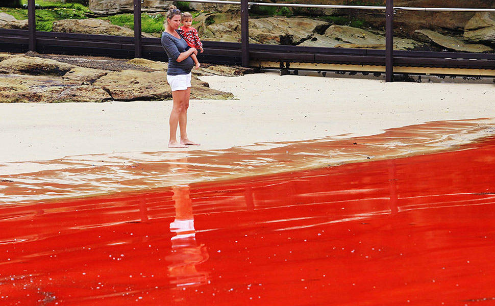 Maré vermelha se espalha pela costa da Austrália