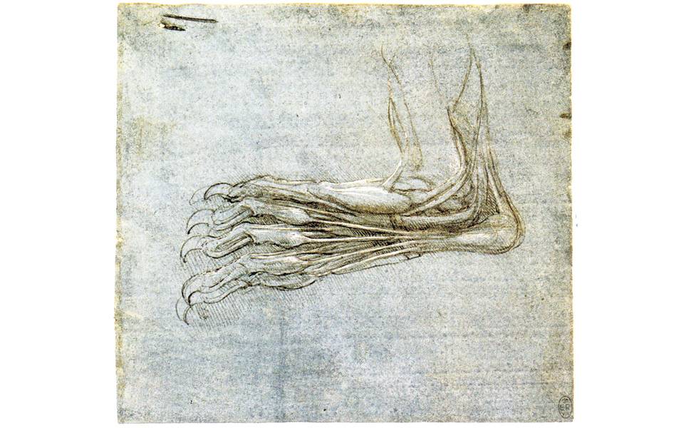 Os Cadernos Anatômicos de Leonardo Da Vinci