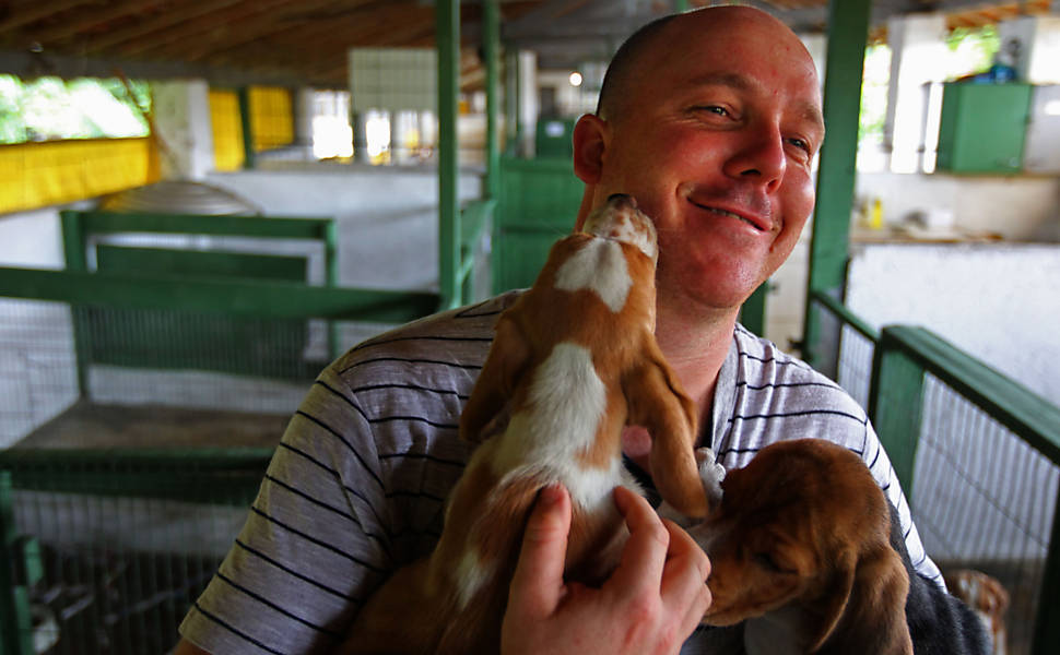 Criador da raça beagle se diz ameaçado - 22/10/2013 - Cotidiano -  Fotografia - Folha de S.Paulo