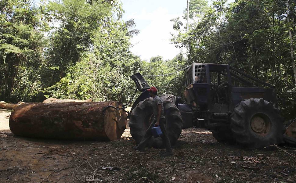 Homem passa por veículo pronto para transportar árvore derrubada ilegalmente no parque Jamanxim, no Pará