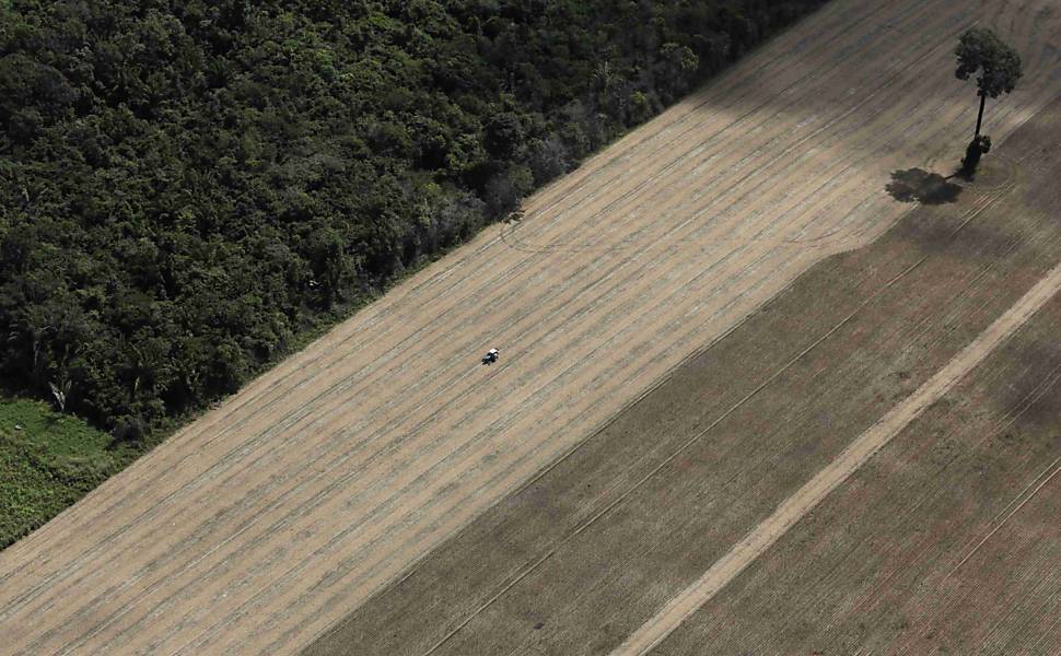 Trator em plantação de trigo em terras que costumavam ser de floresta virgem, perto da cidade de Santarém (PA)