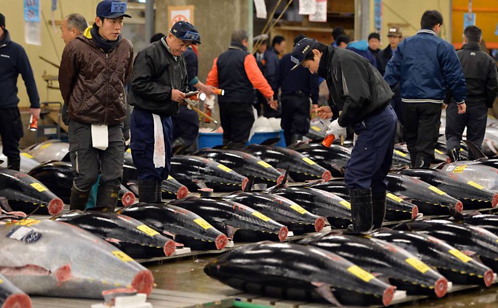 Leilão de atum bluefin no Japão
