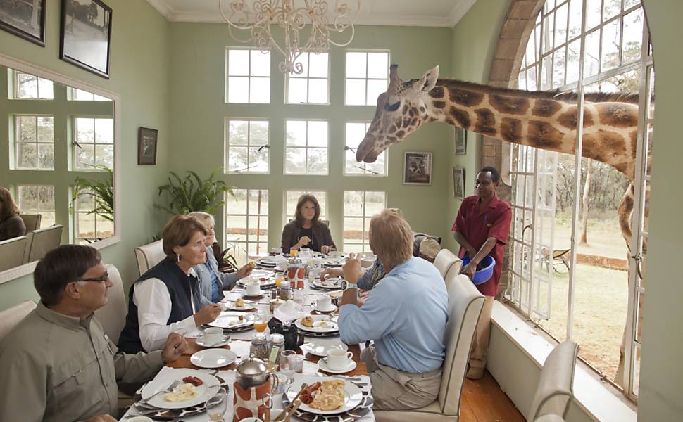 Café da manhã com girafas