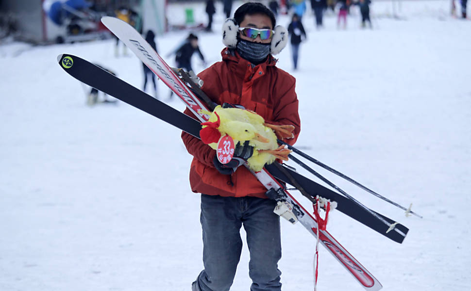 Tartaruga vence coelho em corrida de esqui na China