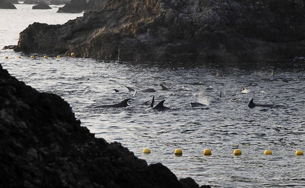 Caçadores de golfinhos no Japão