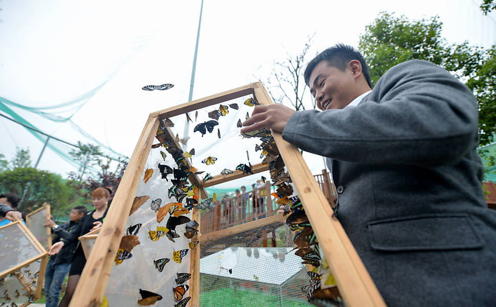 Parque de borboletas na China