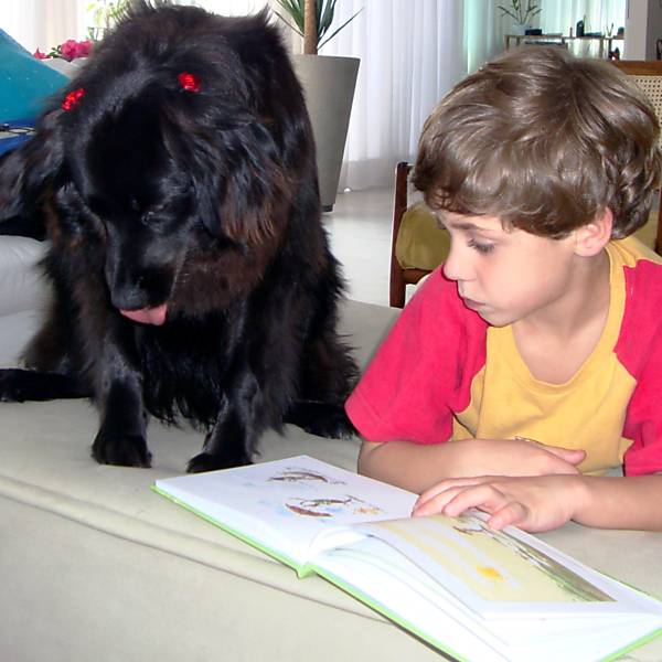 Roda de leitura com cães
