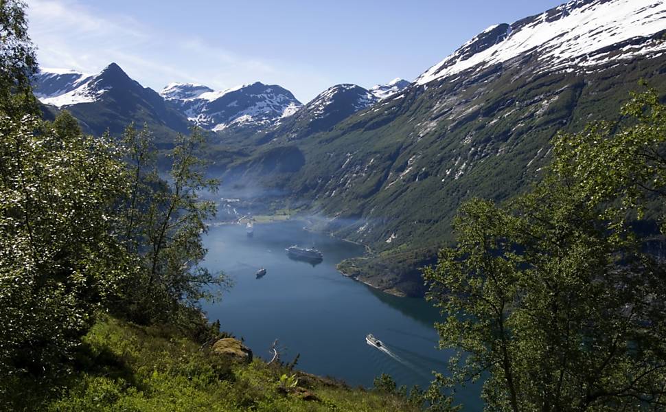 Freya, morsa morta sem necessidade, ganha memorial na Noruega