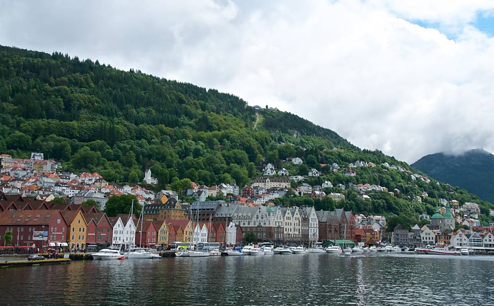 Freya, morsa morta sem necessidade, ganha memorial na Noruega