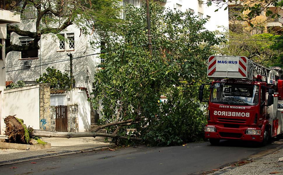 Ventania derruba árvores no Rio