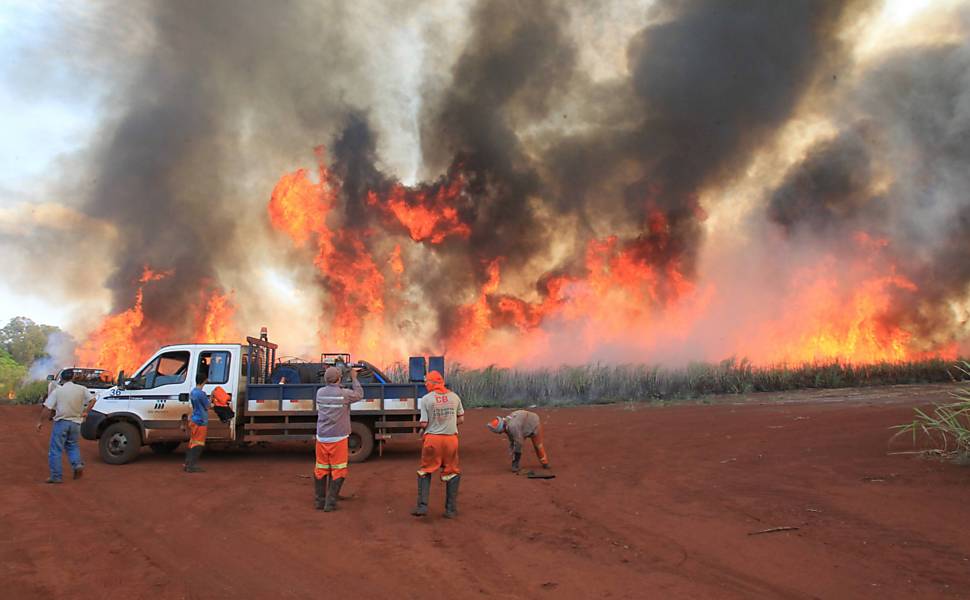 Incêndio em canavial de Pradópolis