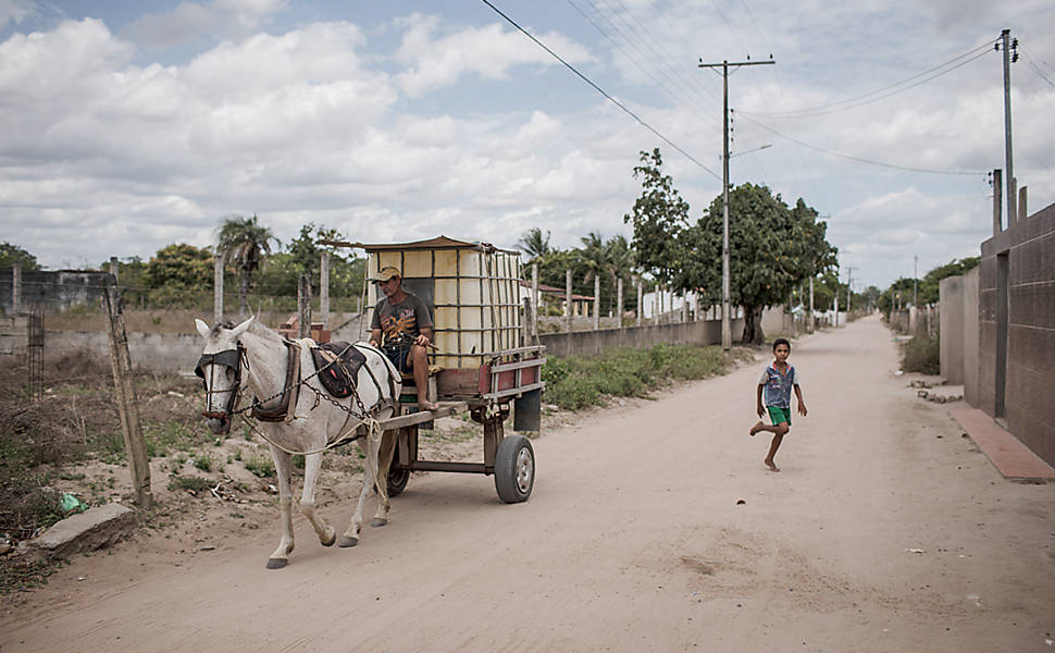 O chikungunya é transmitido pelos mosquitos da dengue: <i>Aedes aegypti</i> e <i>Aedes albopictus</i>