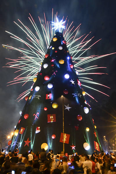 Árvore de Natal do parque Ibirapuera