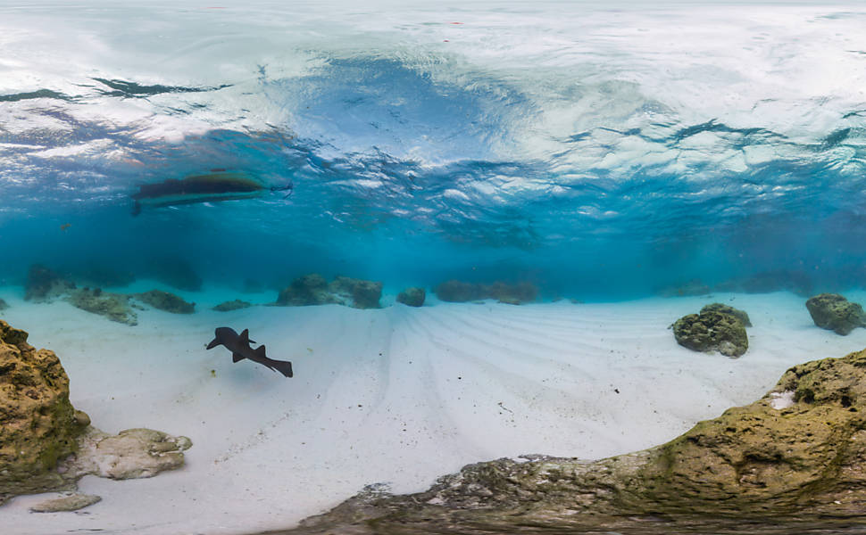 Veja fotos de Fernando de Noronha e atol das Rocas