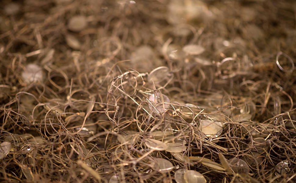 Os óculos das vítimas dos nazistas no campo de concentração viraram uma montanha de ferro retorcido e vidro
