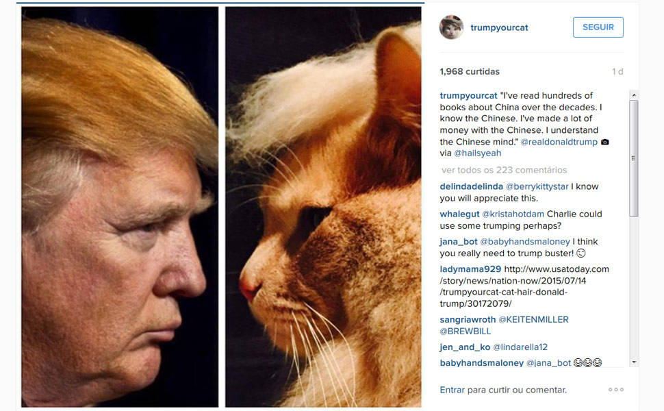 Gatos imitam topete de Donald Trump em rede social