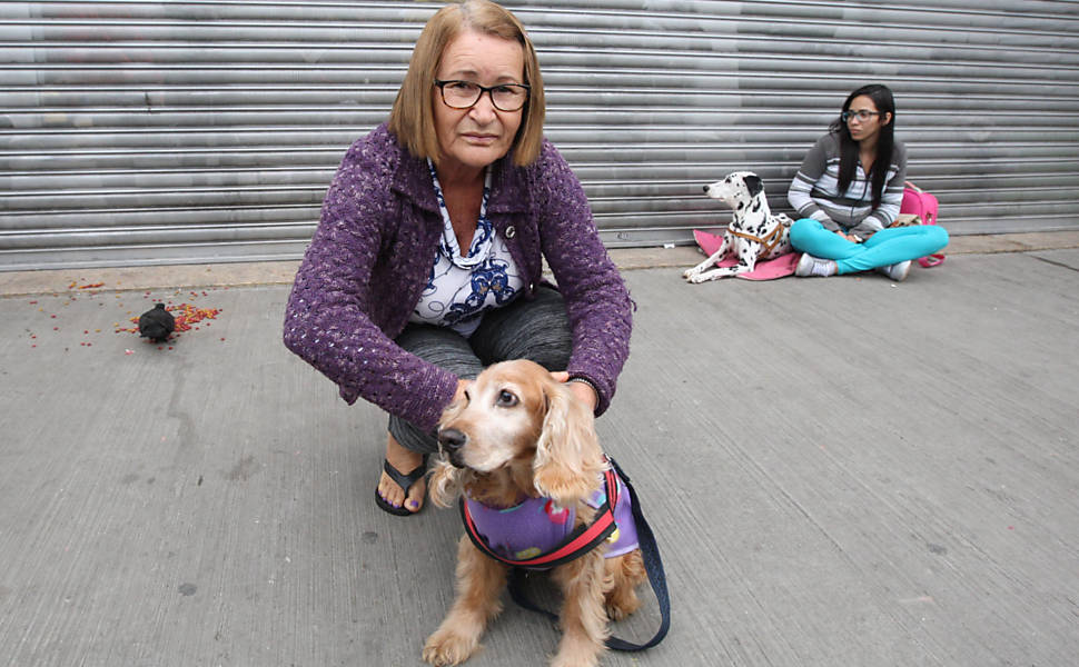 Sofia Camacho, 62, com sua cadela Lady, na Anclivepa (associação de veterinários de pequenos animais)