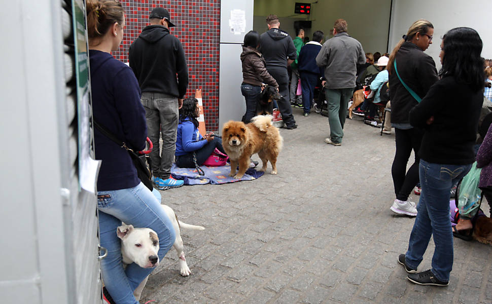 Movimento de pacientes na Anclivepa (associação de veterinários de pequenos animais)