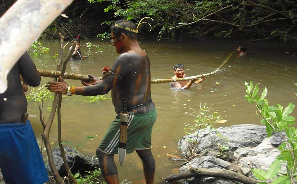 Contaminação por metais pesados em terra indígena