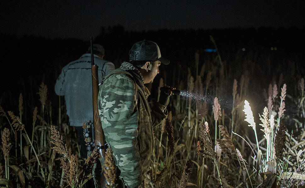Caça ao javali durante a madrugada, na zona rural de Monte Azul Paulista. Grupo de caçadores faz o abate controlado desse animal