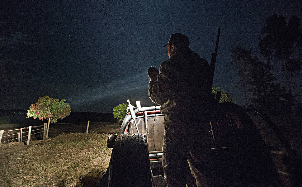 Caça ao javali durante a madrugada, na zona rural de Monte Azul Paulista. Grupo de caçadores faz o abate controlado desse animal