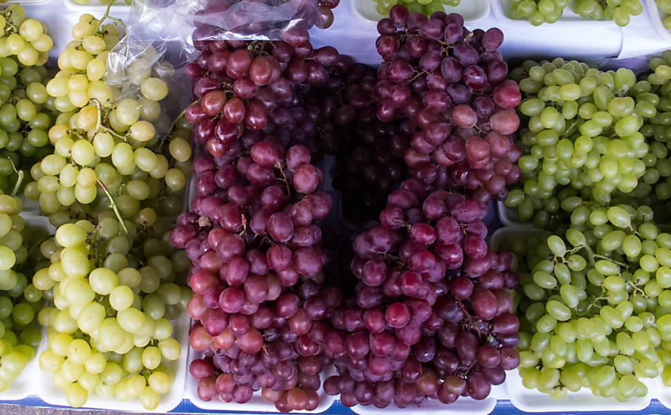 O Estado de São Paulo, fiando-se na legislação em vigor, não aplica nenhuma multa desde 2002, mesmo a quem é reincidente nas infrações relacionadas a esses produtos