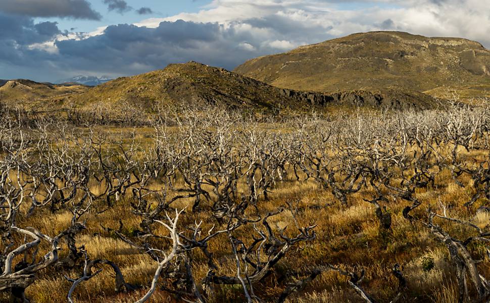 Paisagem do parque nacional Torres del Paine, na Patagônia chilena