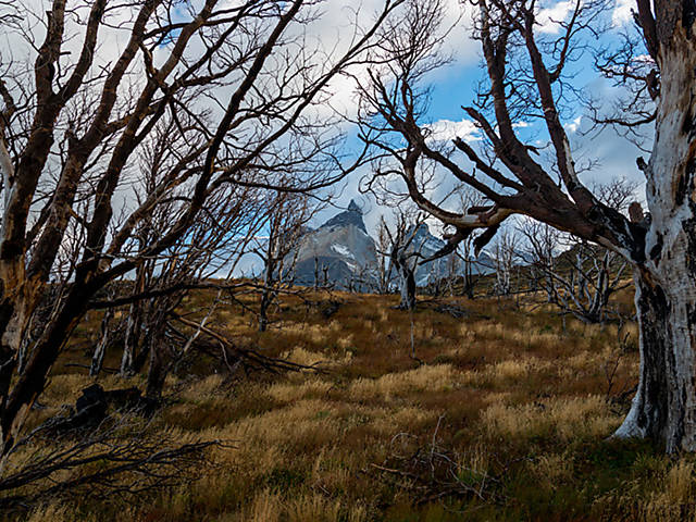 Patagônia chilena é, para Reinés, inóspita; 'onde me sinto mais no fim do mundo', diz ele
