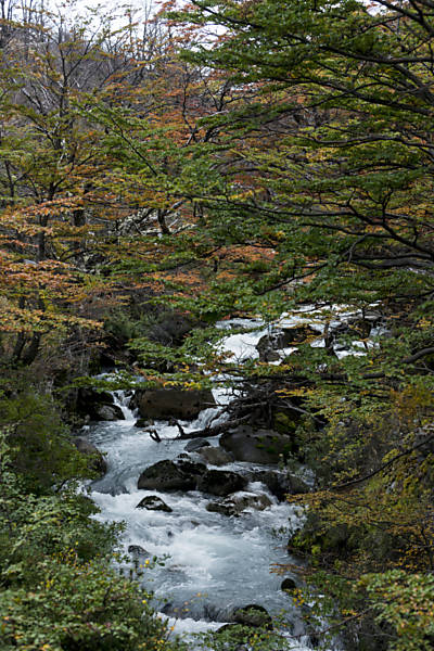 Parque Nacional Torres del Paine, no sul do Chile