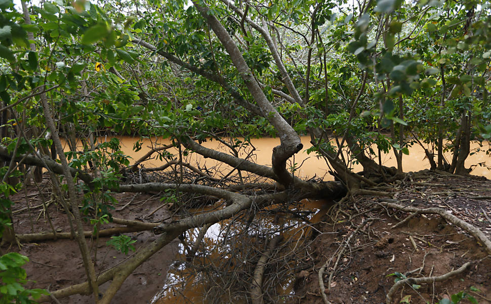 Lama com rejeitos chega à foz do rio Doce, na praia de Regência, e desagua no mar