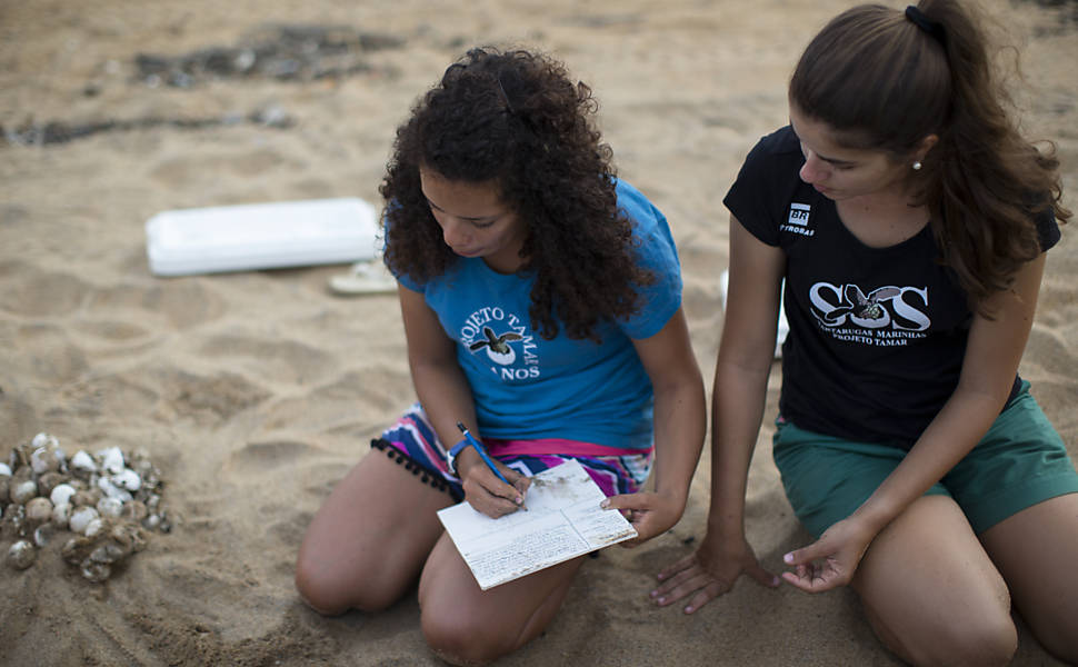 Equipe do Projeto Tamar faz desova prematura de tartarugas cabeçudas, em Linhares (ES), e as levam para longe do alcance da mancha de lama para que não entrem em contato com os rejeitos de minério presentes na lama trazida pelo rio Doce após rompimento das barragens de Mariana (MG)