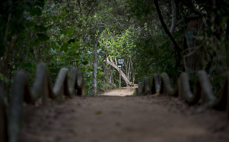 Turismo na praia da Regência (ES) é afetado pela lama tóxica que foi levada pelo rio Doce até o litoral capixaba
