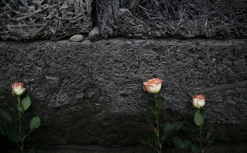 Flores são vistas no "muro da morte" do antigo campo de concentração de Auschwitz, na Polônia