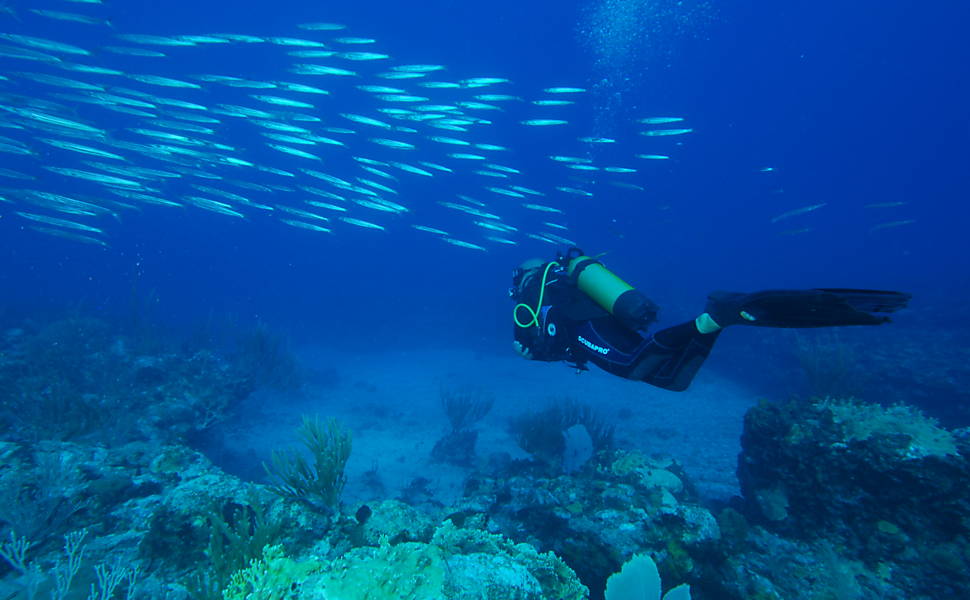 Turista mergulha em Saint-Barth