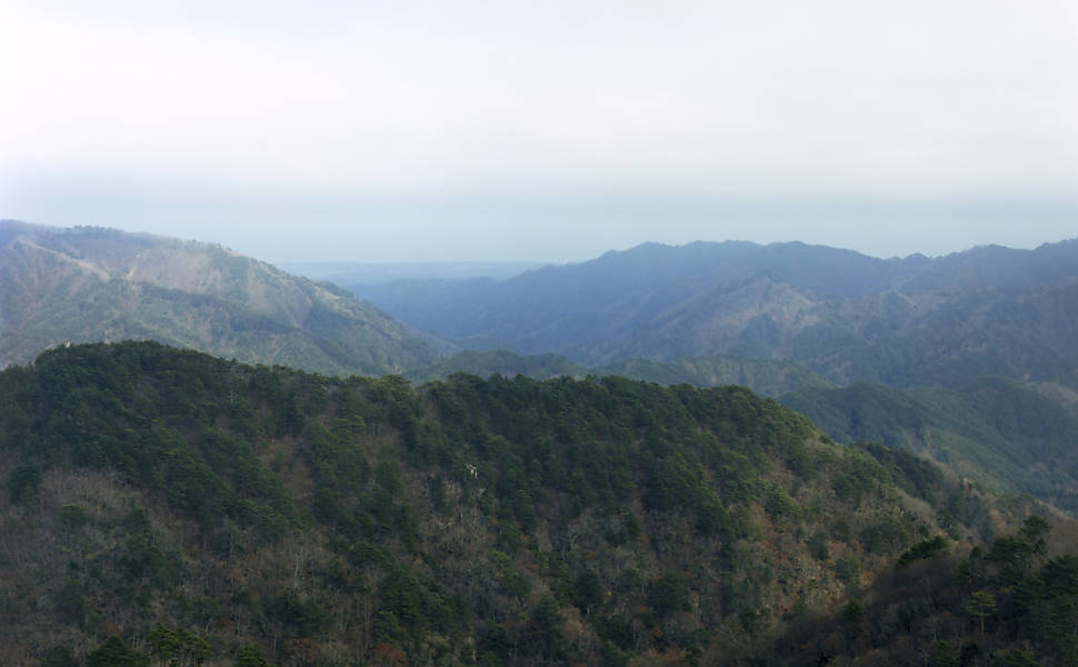Tomoki Imai fotografou a natureza renascendo na área atingida pelo tsunami de cinco anos atrás, que deixou mais de 10 mil mortos no Japão