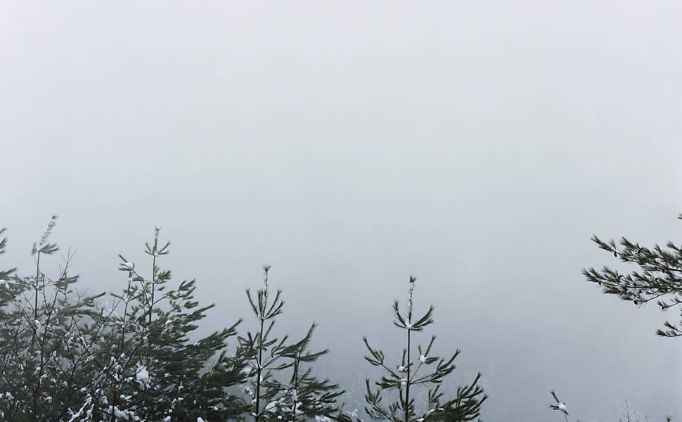 Tomoki Imai fotografou a natureza renascendo na área atingida pelo tsunami de cinco anos atrás, que deixou mais de 10 mil mortos no Japão