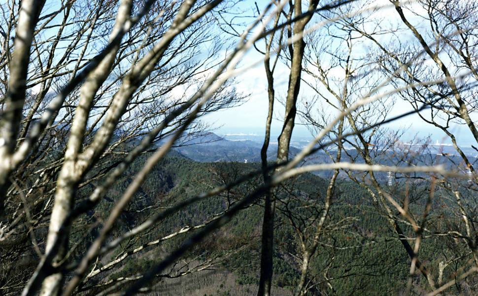 Tomoki Imai fotografou a natureza renascendo na área atingida pelo tsunami de cinco anos atrás, que deixou mais de 10 mil mortos no Japão