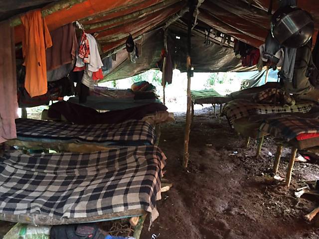 Camas em cima de galhos de árvores usadas por trabalhadores de fazenda em Guaraniaçu, no sudoeste do Paraná