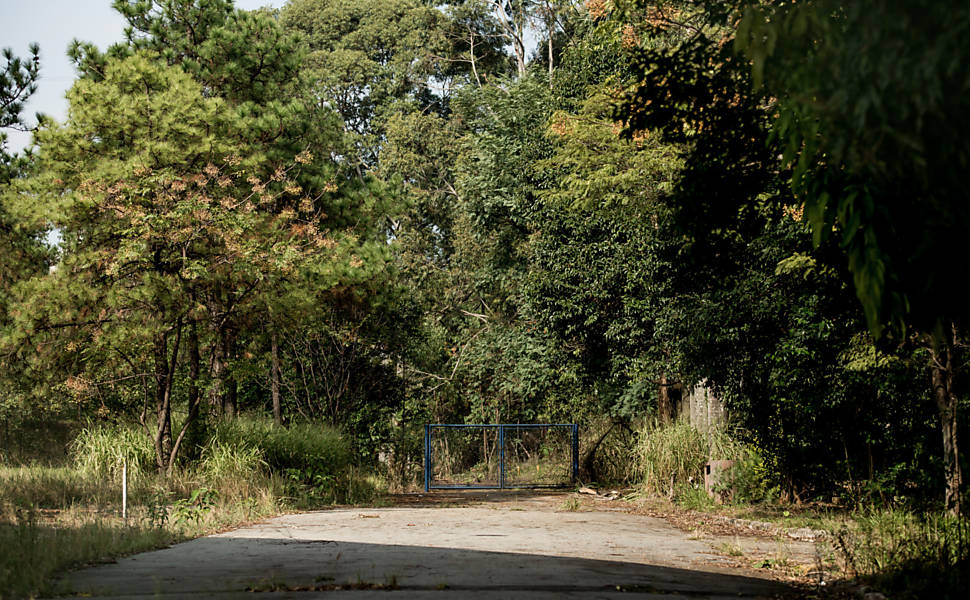 Parque Leopoldina Orlando Villas-Bôas recebe Seleção Brasileira de Futebol  Americano, Secretaria Municipal do Verde e do Meio Ambiente