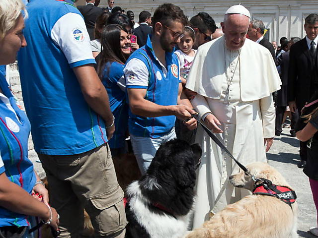 Papa recebe cães de resgate