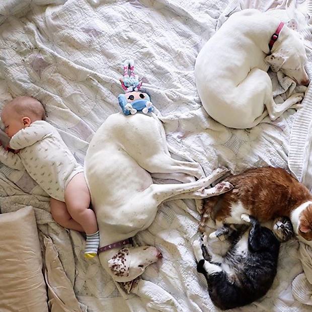 Bebê e cachorro dormem juntinhos
