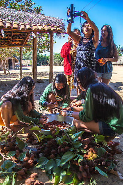 Alunos filmam processamenro de sementes de urucum para reflorestamento. Jovens da etnia kawaieté participam de uma oficina de documentário sobre o cotidiano de suas aldeias, desmatamento e o avanço da agropecuária em território indígena 