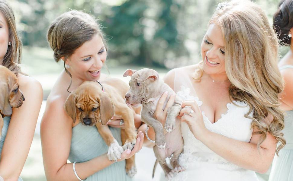 Noiva troca flores por cães em foto com madrinhas
