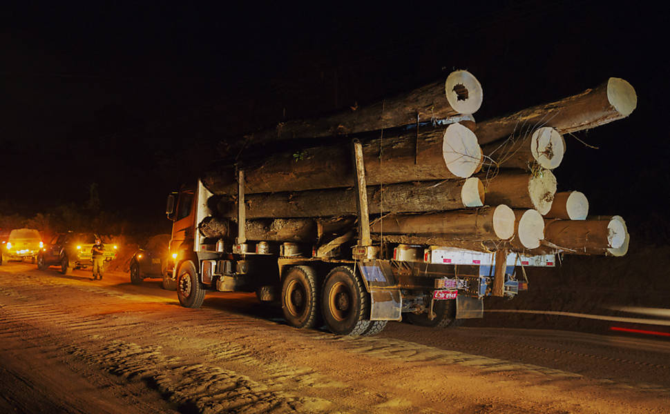 Comércio ilegal de madeira