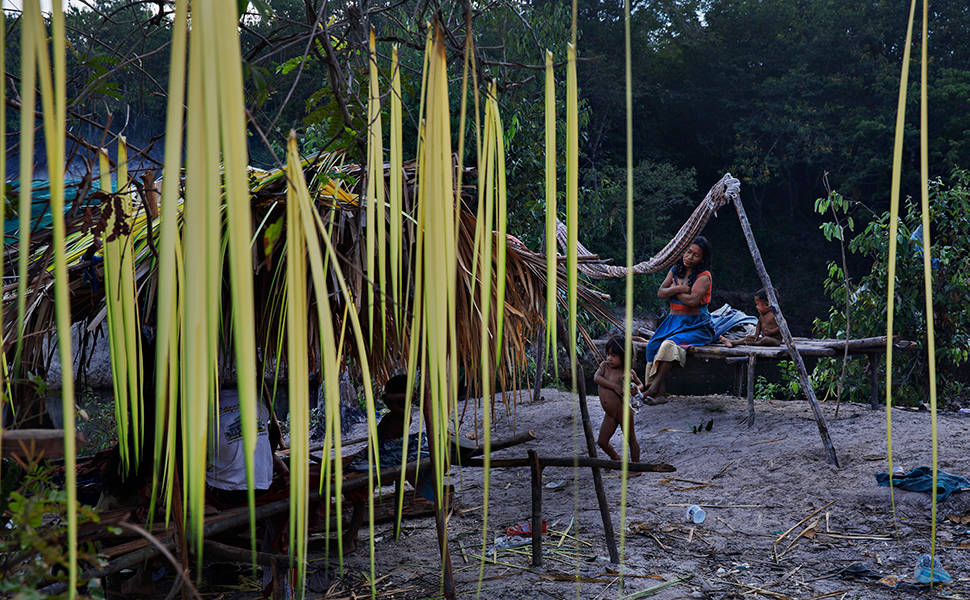 Índios pirahã no acampamento montado as margens do rio Maici ao lado da rodovia Transamazônica no município de Humaitá